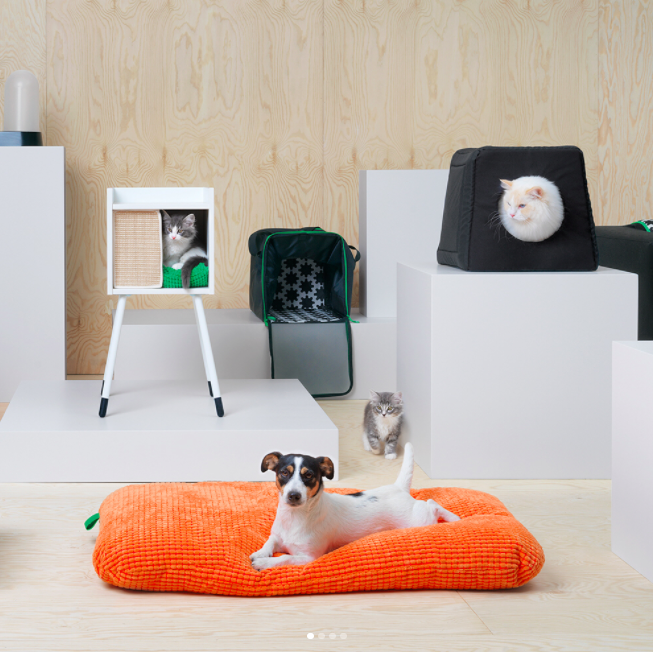 Ikea Is Now Catering to Cats and Dogs