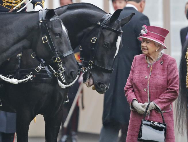 Queen's Horses Have Brought in Almost $9M
