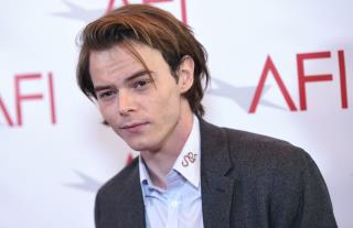Stranger Things Actor Barred Entry to US