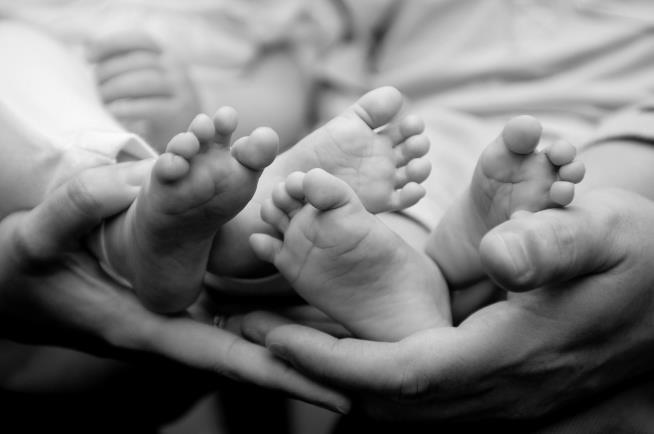 Rare Case Involves 1 Surrogate, 2 Babies, 2 Biological Moms