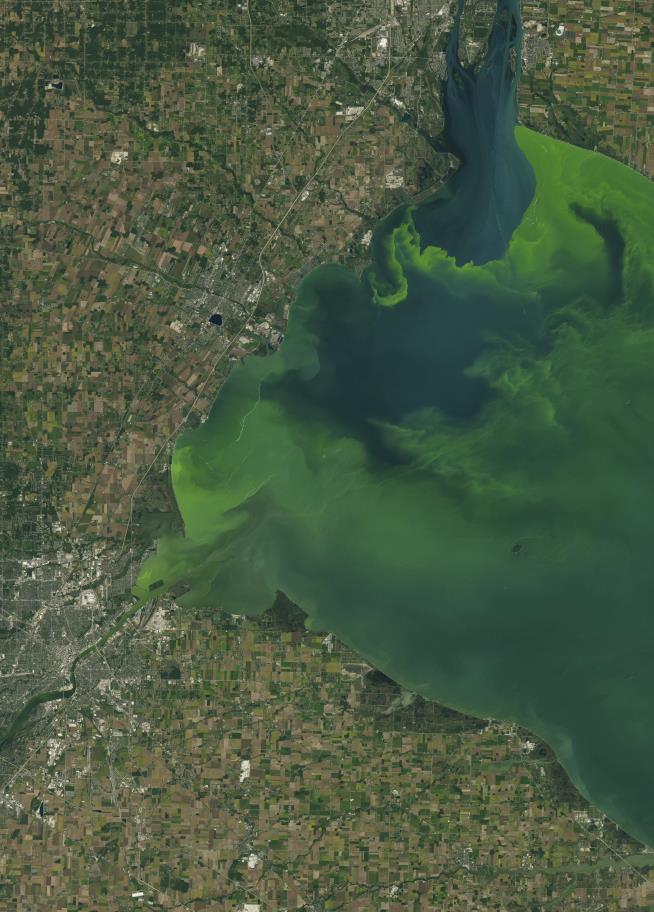 Toxic Algae Isn't Just Gross: It's a Severe Nationwide Threat