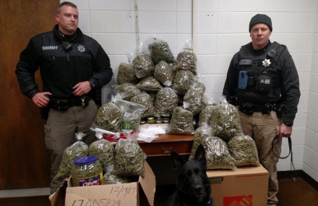 Cops: Couple Said $336K in Pot Was for Christmas Gifts
