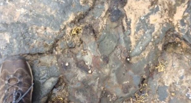Vandals Smash 115M-Year-Old Dinosaur Footprint