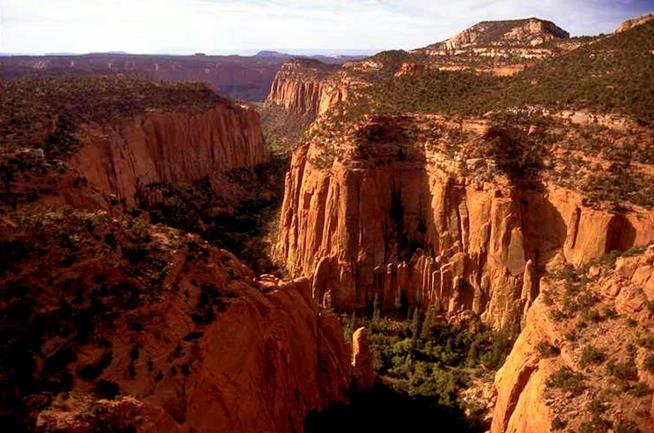 75% of National Parks Panel Quits in Protest