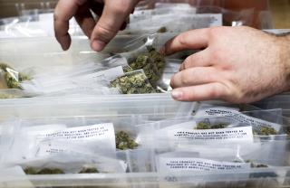 City Will Dismiss or Reduce up to 8K Marijuana Convictions