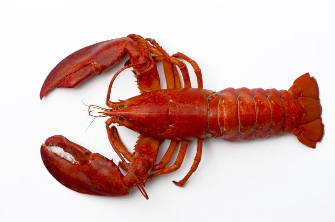 After Maine Objects, Lobster Emoji Getting 2 More Legs