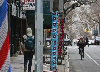 Good News for Chilly NYC Trees: Sweaters Stay