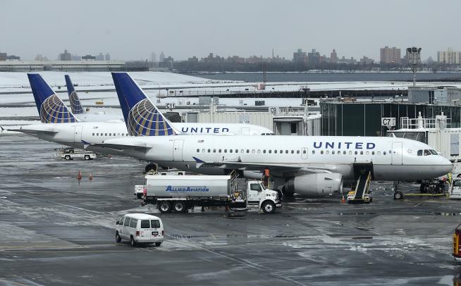 United Is Hitting Pause on Pet Cargo Flights