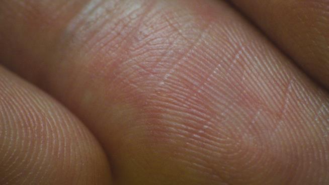 Your Fingerprint Might Have Cocaine in It