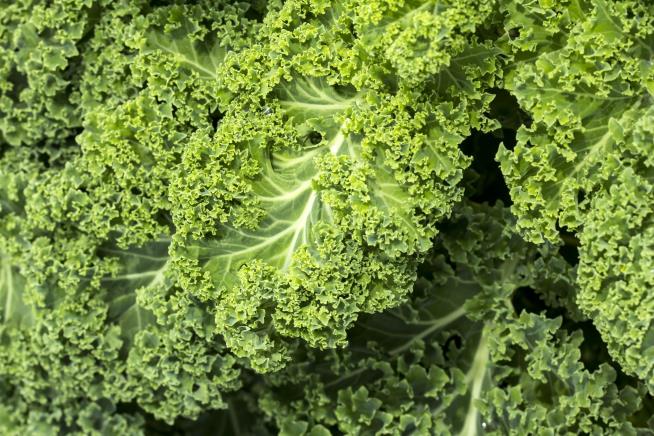 Trader Joe's Kale Came With Nasty Surprise
