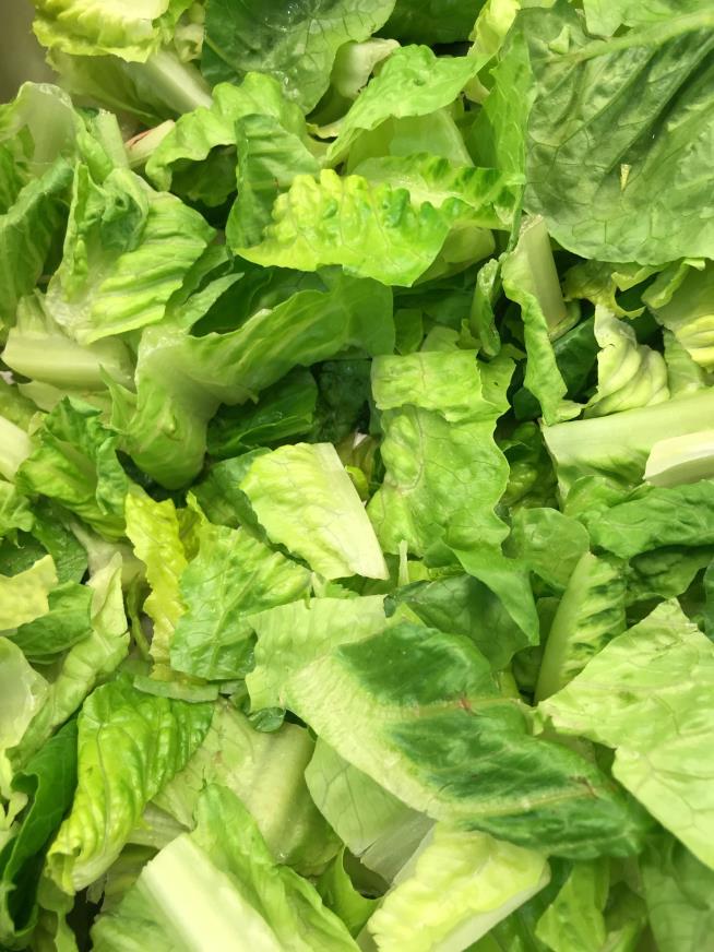 53 People Sickened in Lettuce Recall