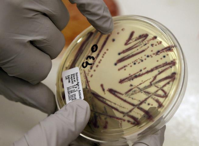 What It's Like to Be Nearly Killed by E. Coli