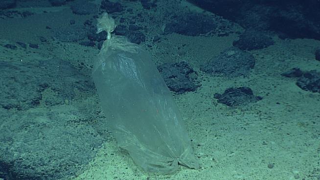 In One of Planet's Most Remote Spots, a Plastic Bag