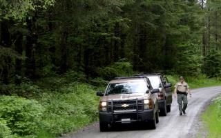 Cougar Kills 1, Mauls Another in Washington State Attack