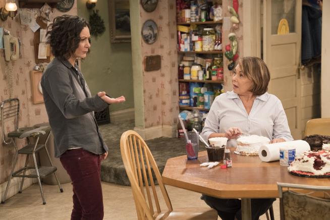 Roseanne the Show May Go On Without Roseanne the Actor