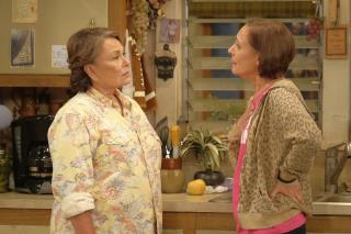 Roseanne Says 'I've Done Wrong' in Emotional Interview