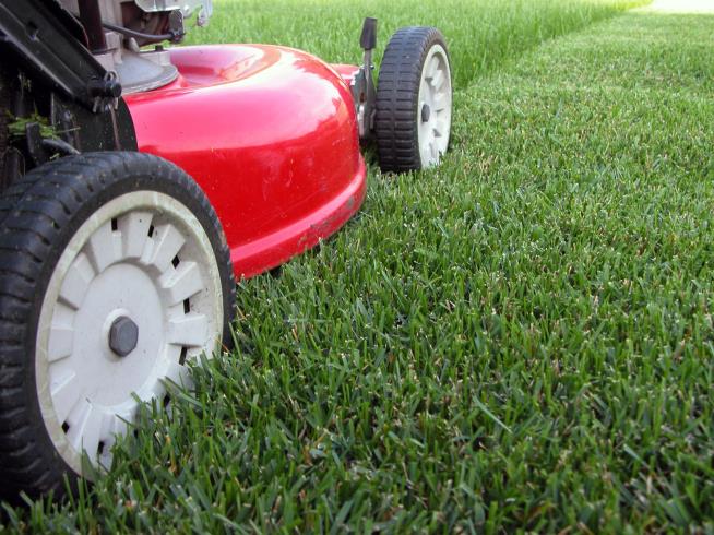 Cops Called on 12-Year-Old for Mistakenly Cutting Someone's Lawn