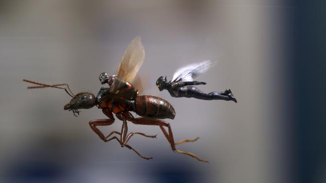 Ant-Man and the Wasp Stings Jurassic World