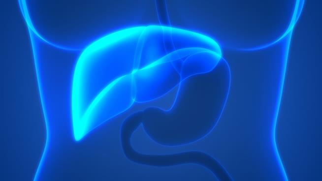In 16 Years, a Dramatic Increase in Liver Cancer Death Rate
