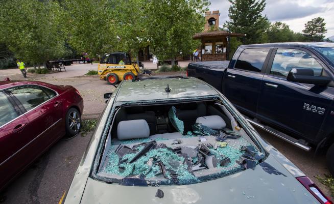 Hailstorm Brings 'Massive Loss' for Colorado Zoo