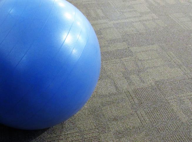 Alleged Weapon in Double Murder: Gas-Filled Yoga Ball