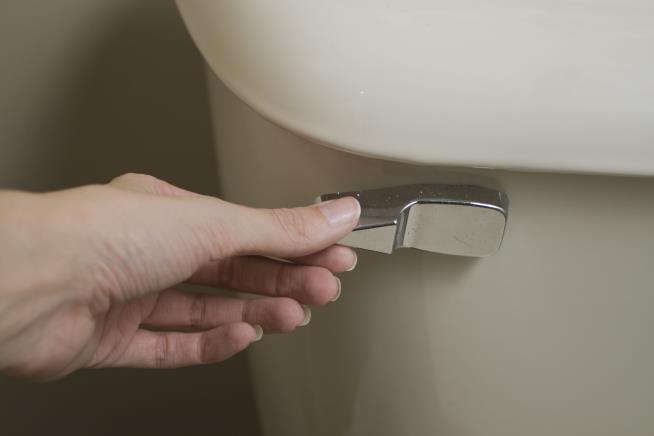 7 Things You Shouldn't Flush Down the Toilet