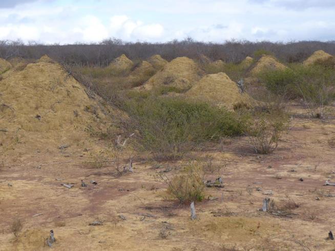 200M Dirt Piles in Brazil Aren't There by Accident