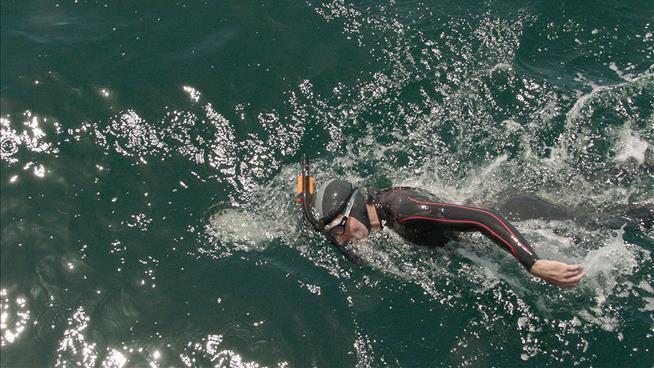 He Swam 1,500 Miles Across the Pacific. It Wasn't Enough