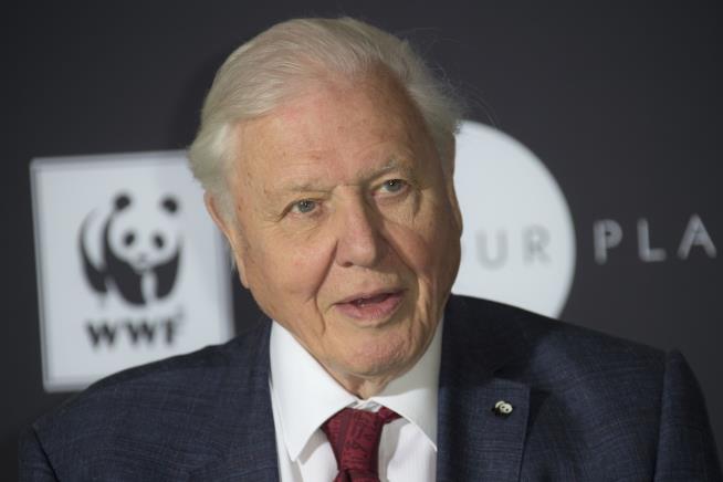 David Attenborough Issues Dire Warning at UN Climate Summit