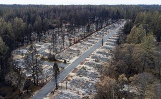 Wildfire Cleanup Workers Fired for 'Reprehensible' Photos