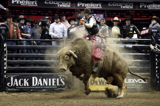 Bull Fatally Stomps Rider at Denver Event