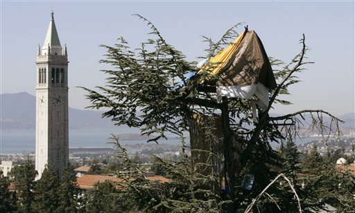 UC-Berkeley Can Chop Sitters' Trees: Judge