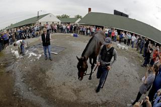 Kentucky Derby Surprise: The Favorite Is Out