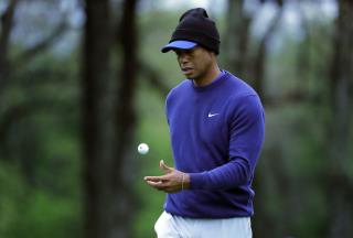 Tiger Woods Sued After Employee's Drink-Driving Death