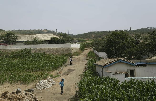 North Korea Suffering Worst Drought Since 1982