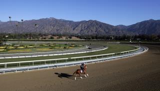 3rd Horse in 9 Days Dies at Troubled California Track