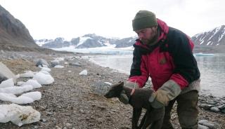'We Were Thunderstruck': Arctic Fox Walks 2.7K Miles in 4 Months