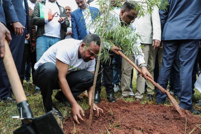This Country Planted 353M Trees —in Half a Day