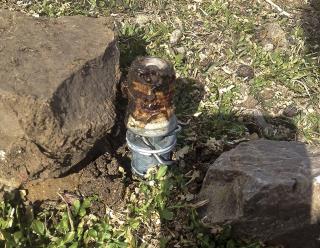Despite Pushback, EPA OKs Use of 'Cyanide Bombs'