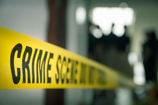 Man Kills Wife and Grandson, 6, During Grandkids' Visit: Police
