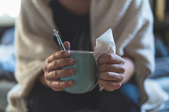 We Might Be Getting Closer to a Cure for the Common Cold