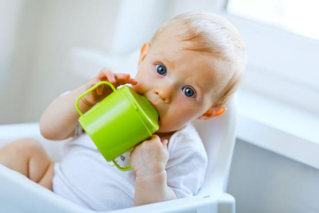 Skip Plant-Based Milk for Kids, Say New Guidelines
