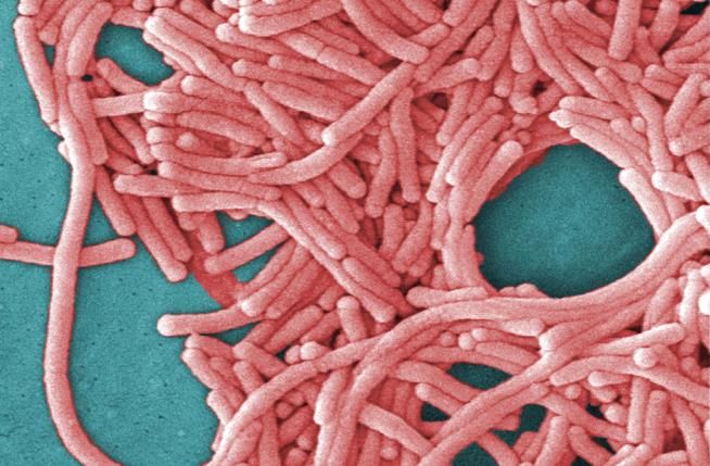 Deadly Legionnaires' Outbreak Linked to State Fair Hot Tubs