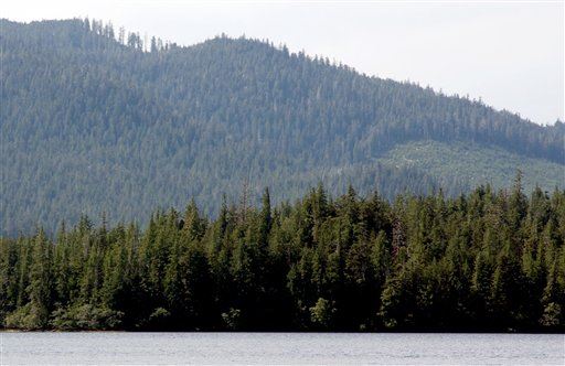Feds Want to Ditch 'Roadless Rule' in Biggest National Forest