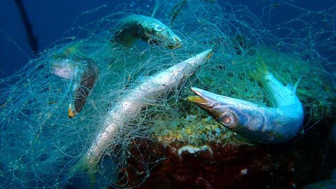 A Major Scourge in Our Oceans: 'Ghost Gear'