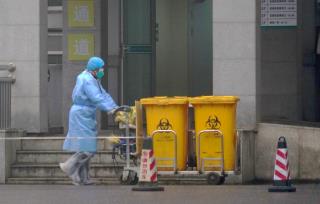 Coronavirus Reaches Europe