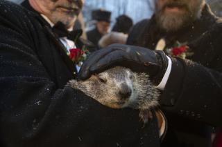Groundhog Declares 'a Certainty'