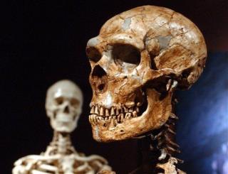 Scientists Find Clues of 'Ghost' Human Ancestor