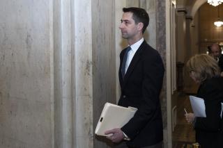 Tom Cotton Floats Virus Theory, but Scientists Scoff