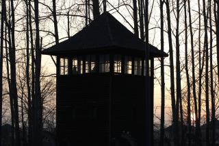 Auschwitz Memorial Slams Amazon Show's 'Dangerous Foolishness'